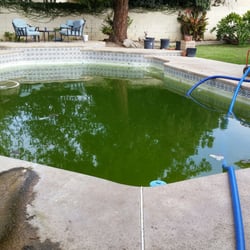 a better pool company
