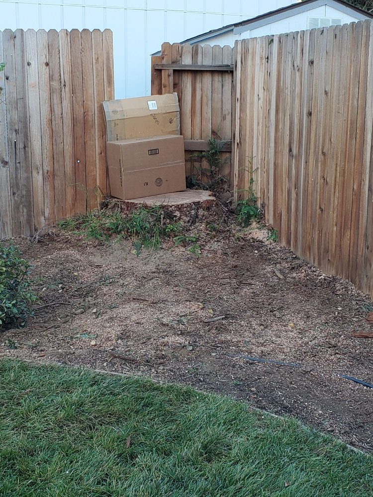 Haman Landscape and Tree Service
