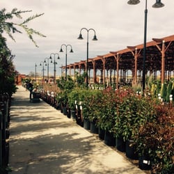 Green Acres Nursery Supply 69 Photos 29 Reviews Gardening Photo Of Green Acres Nursery Supply Rocklin Ca United States Trees