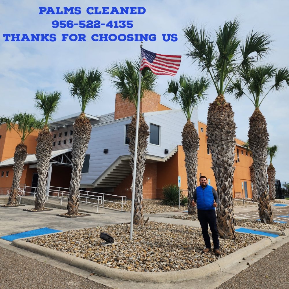 Juan Palmas Tree Service