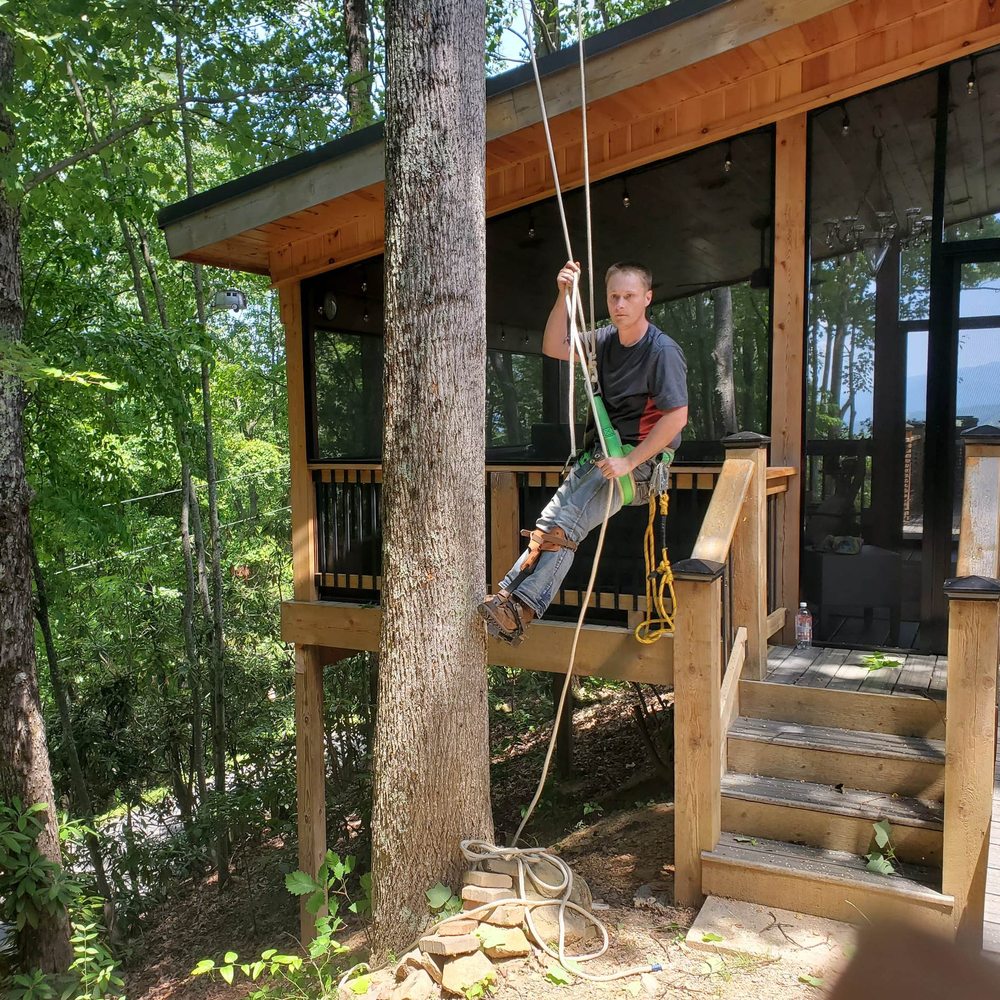Brandon's Tree Experts