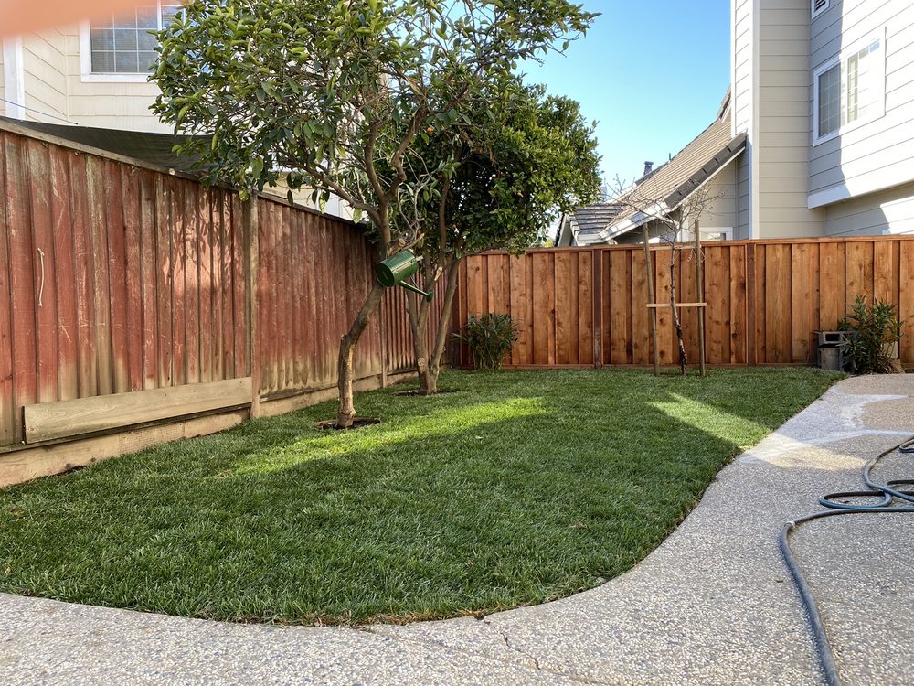 Rosa's Garden and Landscape Service