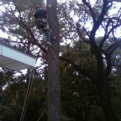 Tree Service Salisbury  Photo of AA Tree Service - Salisbury, MD, United States