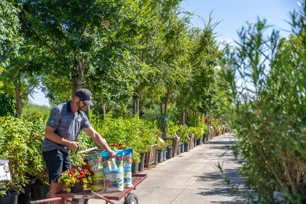 Moon Valley Nurseries