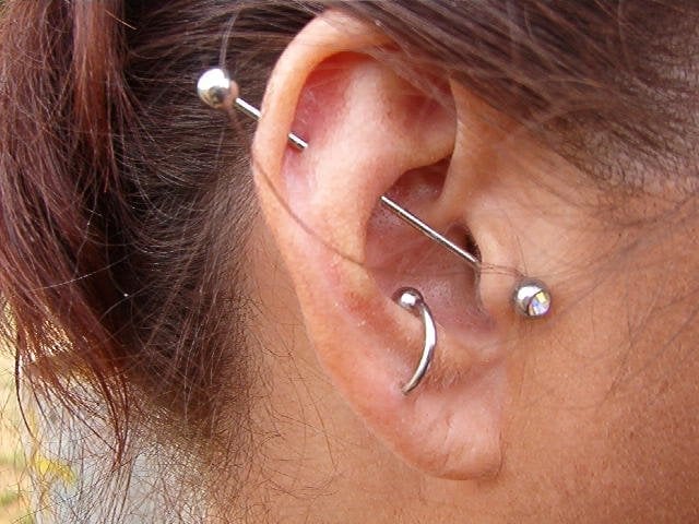 Custom Ear Project Piercings By Seven Yelp