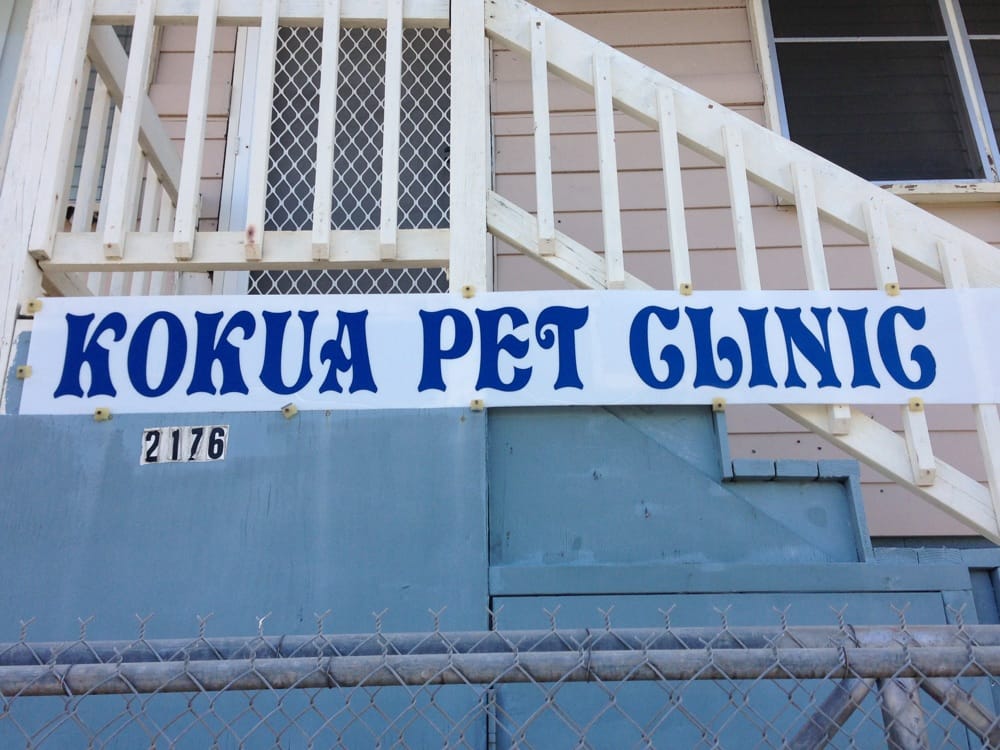 Kokua Pet Clinic 44 Photos & 43 Reviews Veterinarians 2176