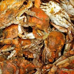 The Best 10 Seafood Restaurants Near Kitty Hawk Nc 27949 Last 3 I Got Your Crabs