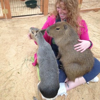 Jozee Rooz Indoor Petting Zoo - 24 Photos 