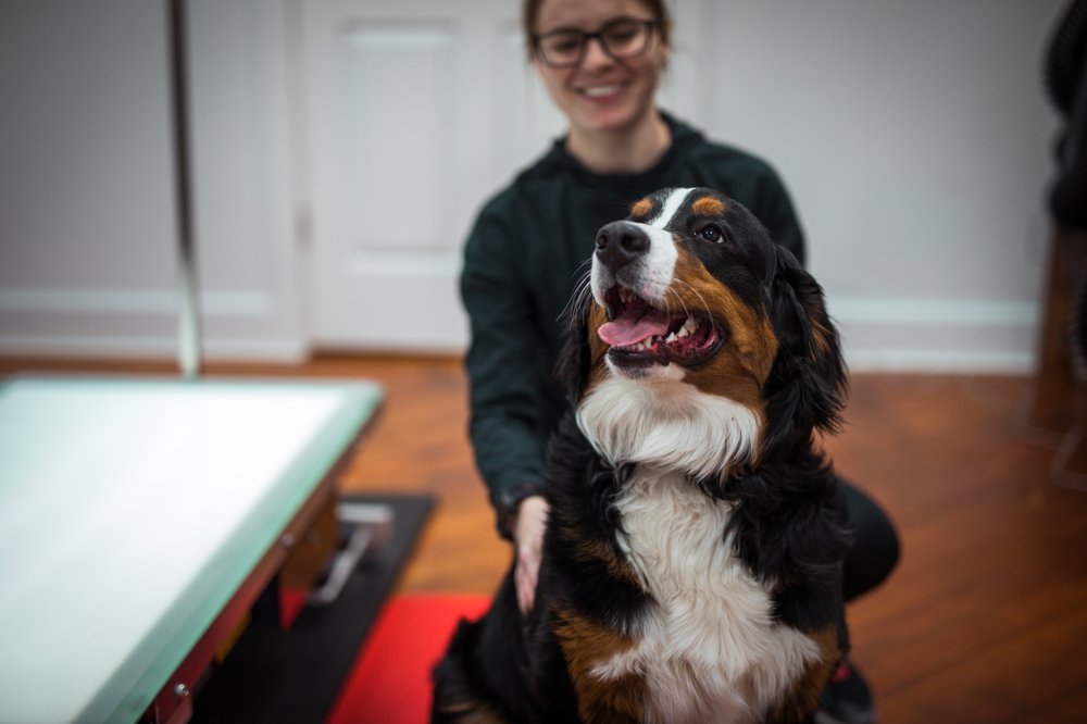 Lancaster Pet Grooming