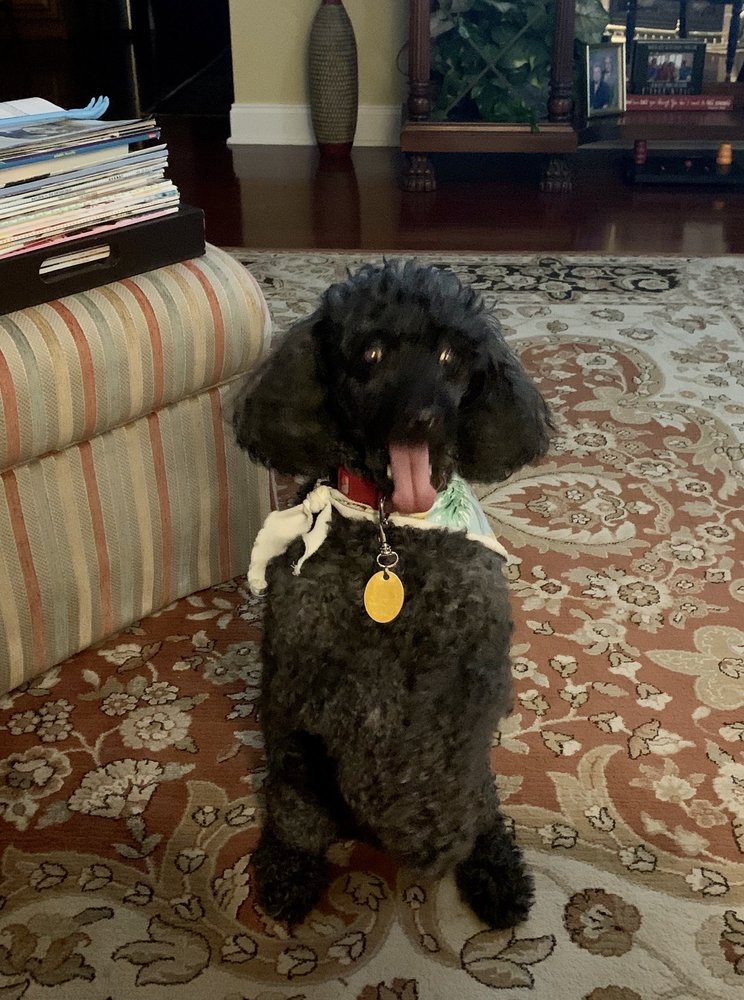 Skeet Club Veterinary Hospital