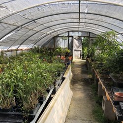 Maruyama Bonsai Nursery 62 Photos 19 Reviews Nurseries Photo Of Maruyama Bonsai Nursery Sacramento Ca United States They Have Orchids