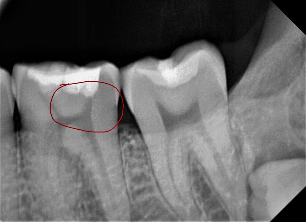 image of business TLN Family Dental