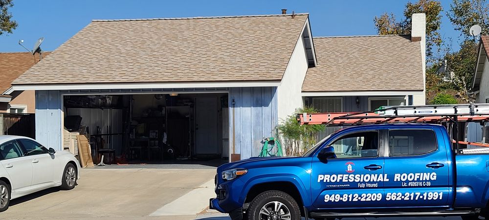 Professional Roofing