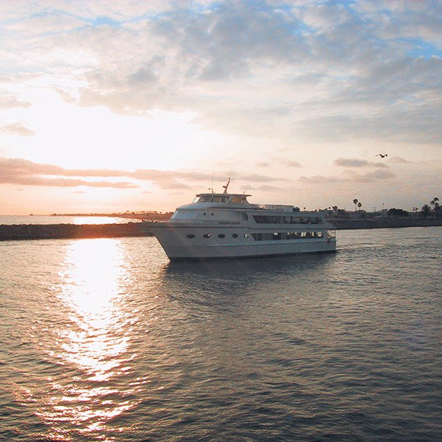 Horner Cruises Events 480 Photos 195 Reviews Boat Horner Cruises Events 480 Photos 195 Reviews Boat Charters 2431 W Coast Hwy Newport Beach Ca Phone Number Rates Yelp