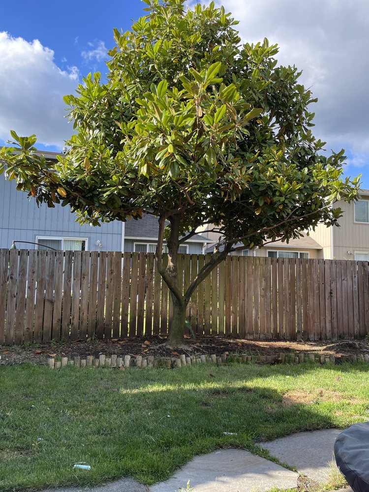 Roberts Lawn & Home Care