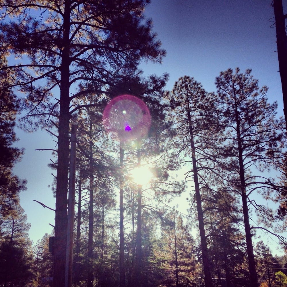 Mingus Mountain Hiking Prescott National Forrest, Prescott, AZ Yelp