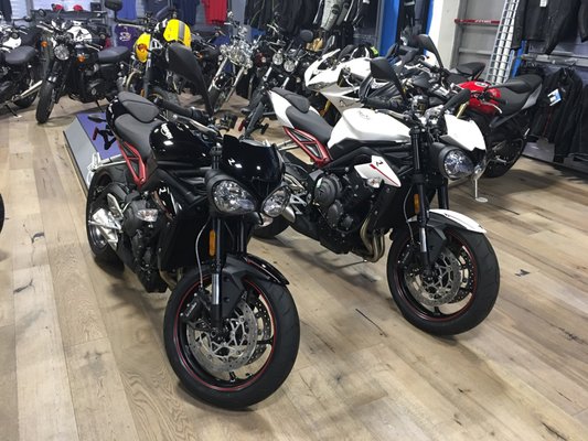 Gold Coast Motorsports >> Gold Coast Motorsports 2070 Jericho Tpke New Hyde Park Ny Unknown Gold Coast Motorsports >> Gold Coast Motorsports 2070 Jericho Tpke New Hyde Park Ny Unknown