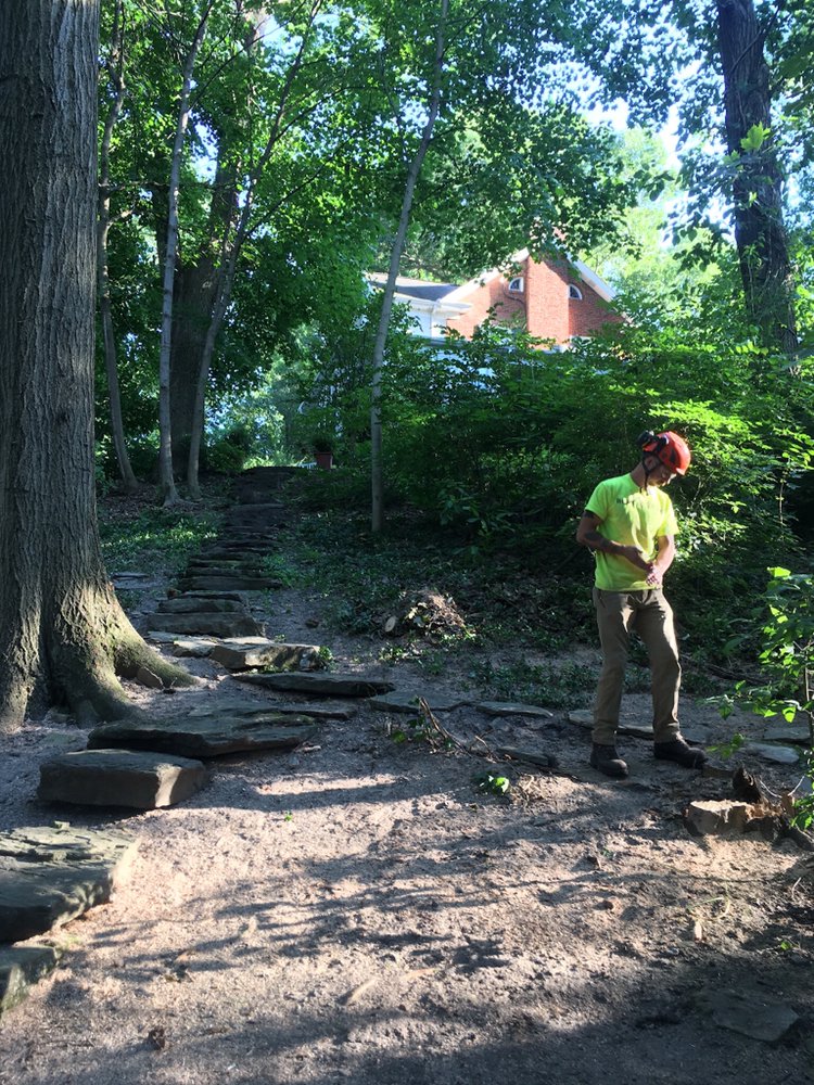 Monster Tree Service of Pittsburgh