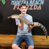 The Alligator Attraction 114 Photos 48 Reviews Zoos 12973 Photo Of The Alligator Attraction Madeira Beach Fl United States