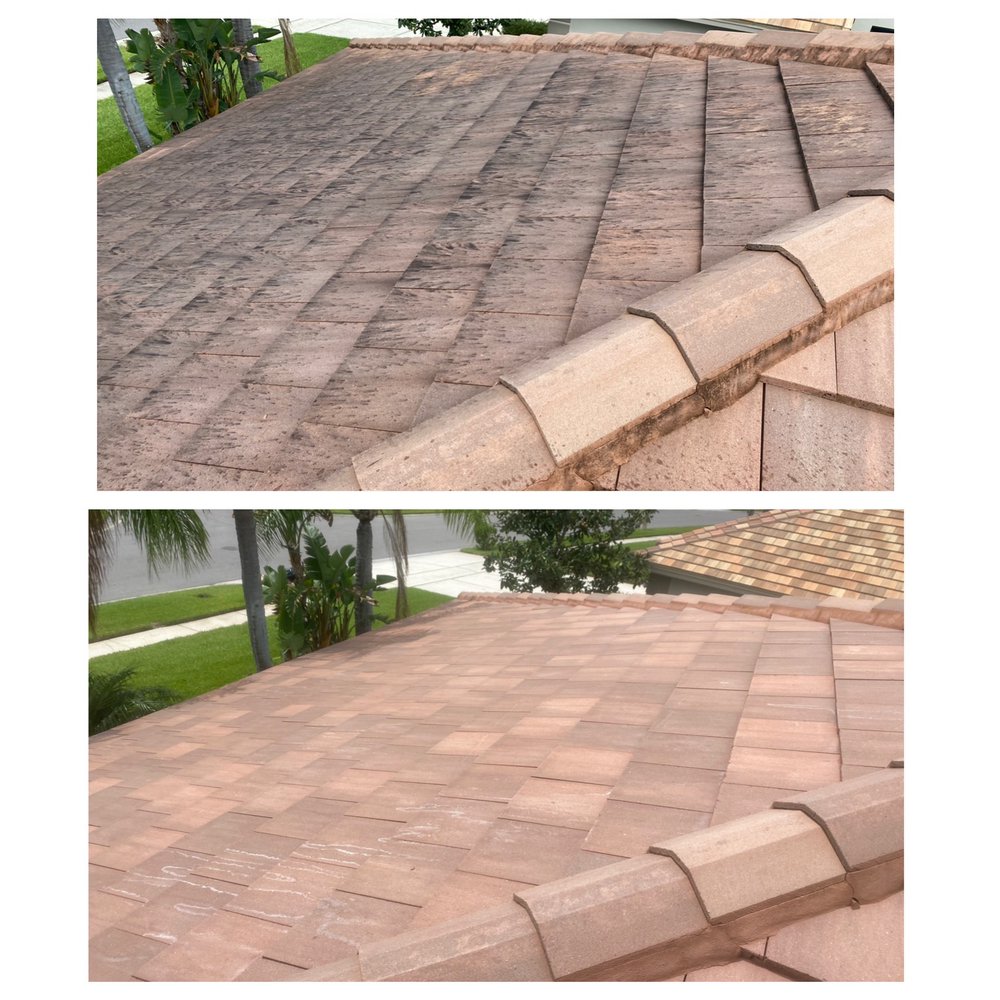 Reliant Roof cleaning & Pressure washing 