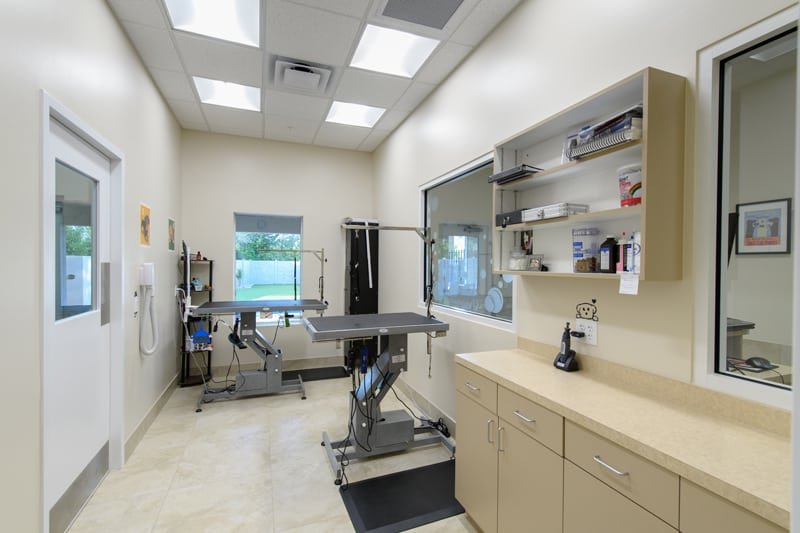 Pet St Lucie Image