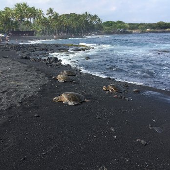Kona Black Sand Beach The Best Beaches In World Kona Black Sand Beach The Best Beaches In World Punalu U Island Hawaii
