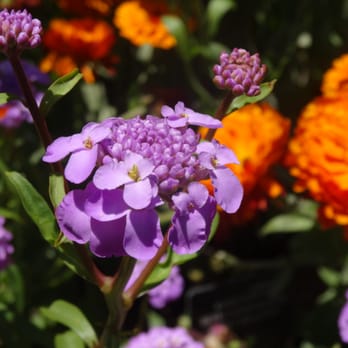 Green Vc News  Resources For Social Entrepreneurs