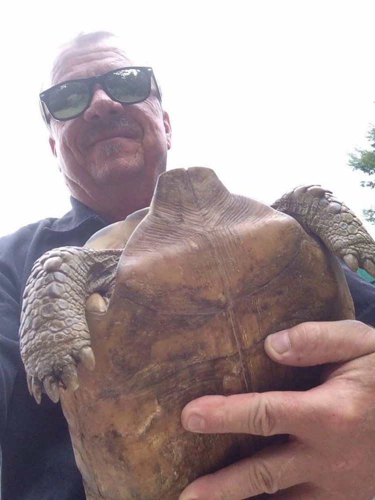 Highspeed Animal Trapping