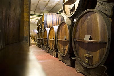Bon Vivant Wine Tours