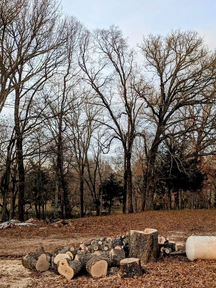 Evans Tree Service