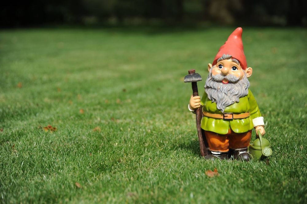 Bio Green Outdoor Services