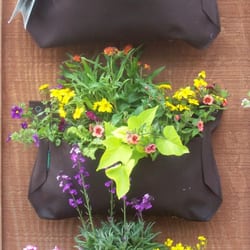 The Best 10 Nurseries Gardening Near Hayden Id 83835 Last The Best 10 Nurseries Gardening Near Hayden Id 83835 Last Updated December 2018 Yelp