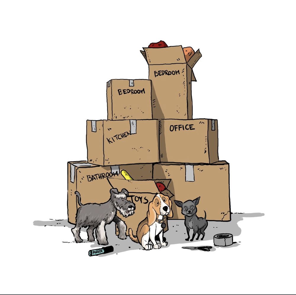 Hawk Moving And Storage