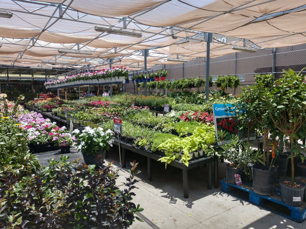Walmart Garden Center - Nurseries & Gardening - 201 Walton Way, Cedar