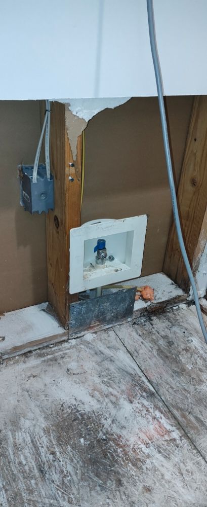 Mold Xperts
