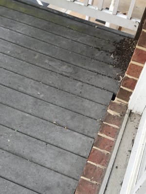 Springfield Farm Apartments