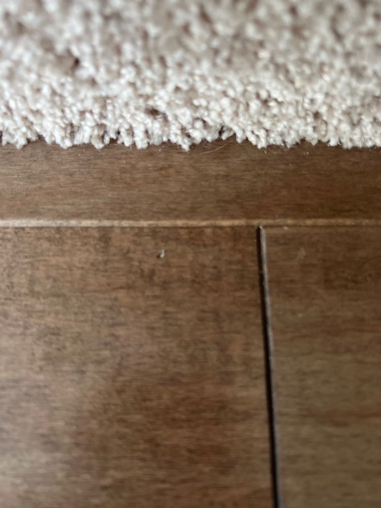 image of business SP Floors and Design Center