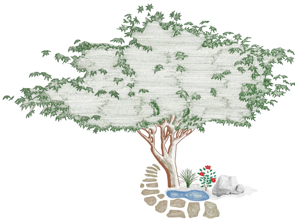 Taylor Landscape & Gardens