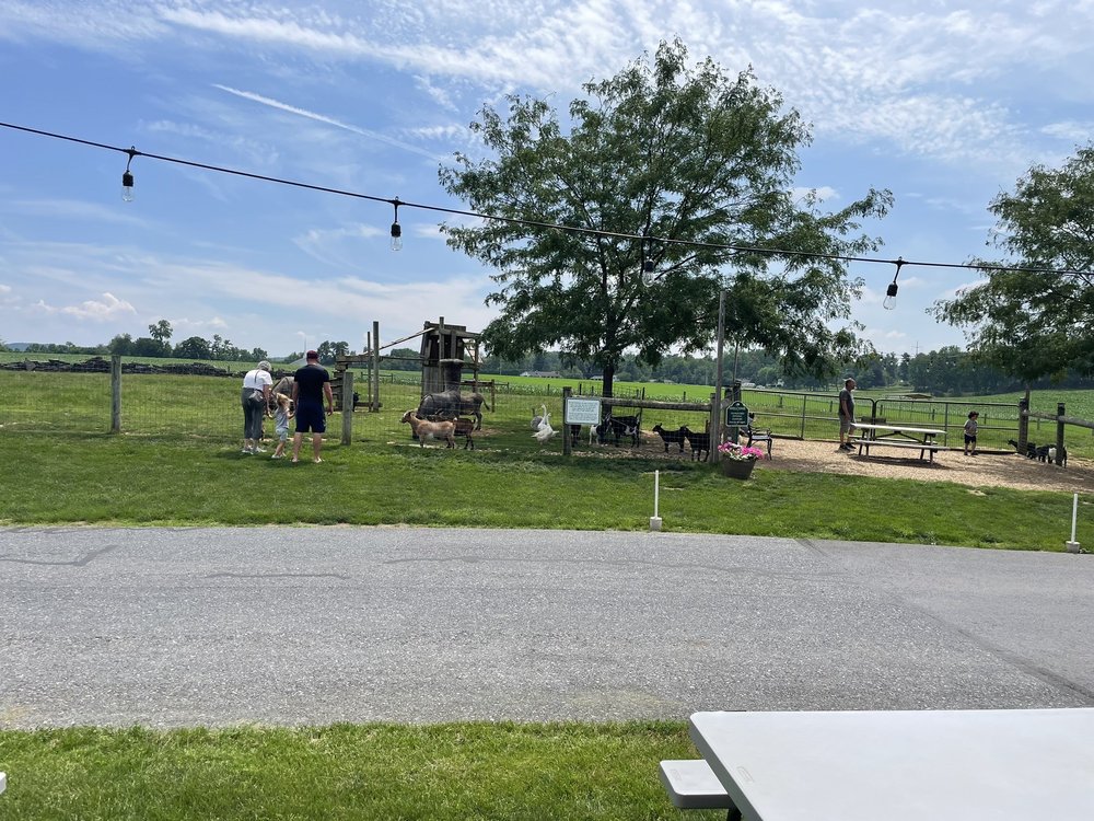 Patches Family Creamery