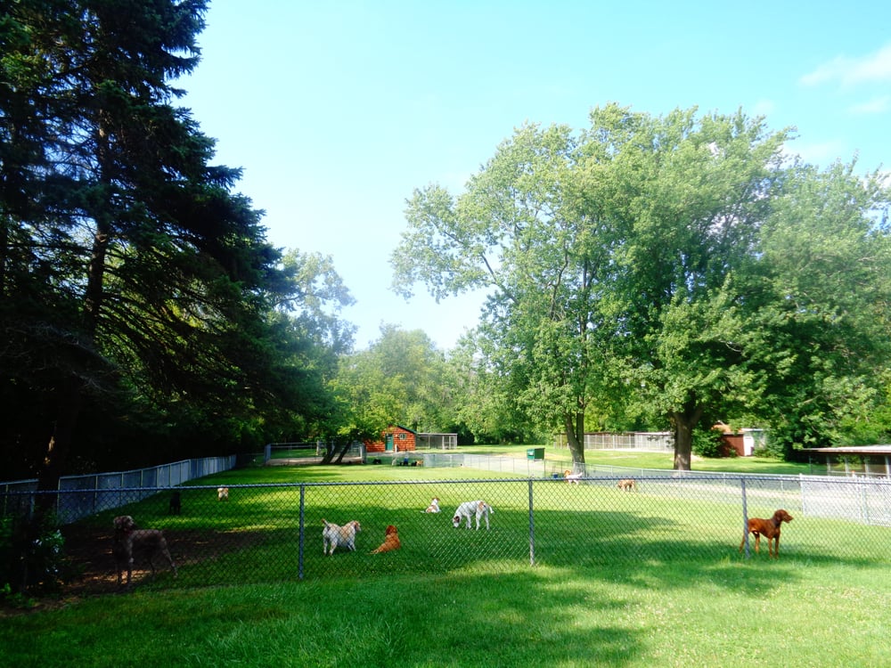 Lake Forest Kennel Club 40 Photos Pet Sitting 810 W Everett Rd