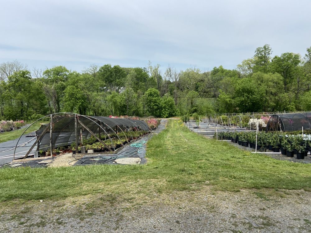East Fork Nursery