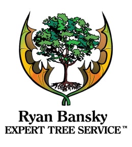 Ryan Bansky Expert Tree Service
