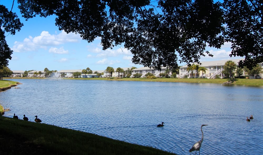 Waterside At Coquina Key Resorts 3700 Pompano Dr SE, South St