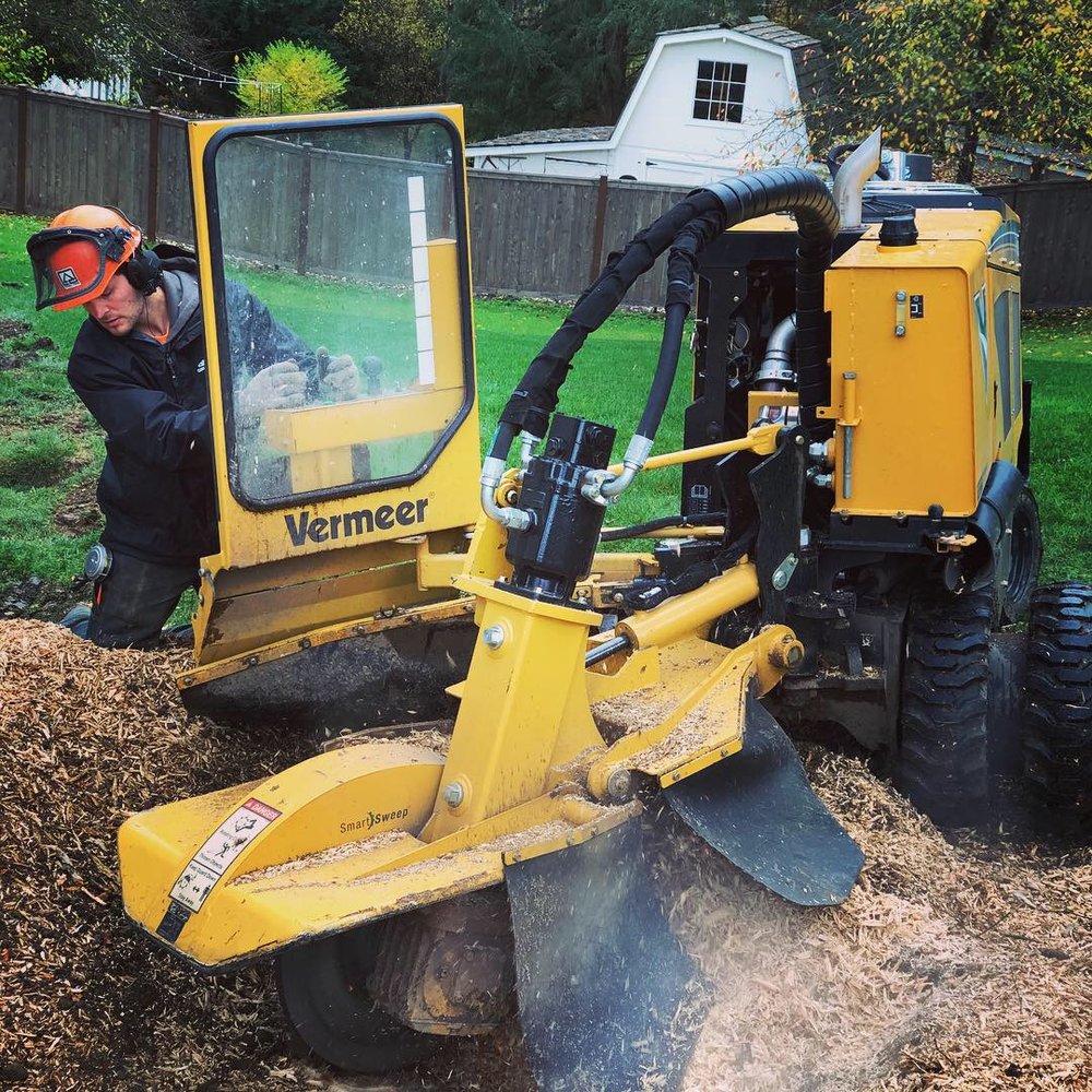 Pacific Tree Management