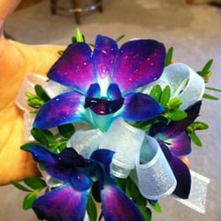 The Wild Iris Gifts Botanicals 32 Photos Florists 820 S 8th Photo Of The Wild Iris Gifts Botanicals Manitowoc Wi United States