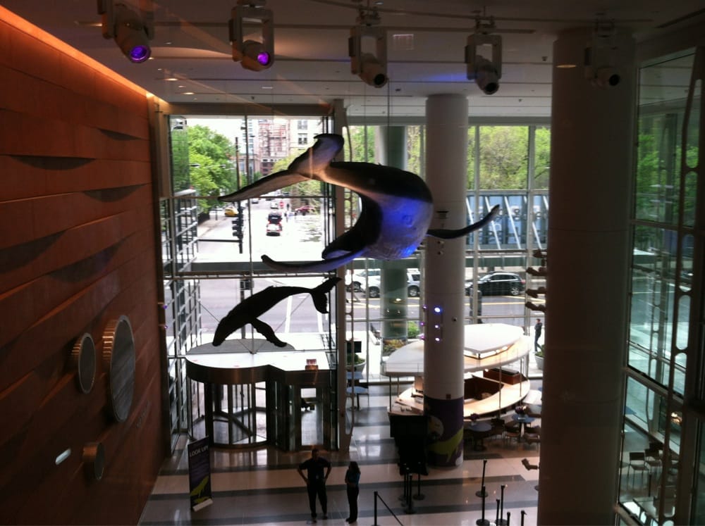 Ann & Robert H Lurie Children’s Hospital of Chicago 29 Photos & 46