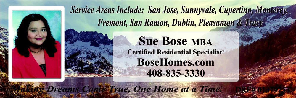 Sue Bose
