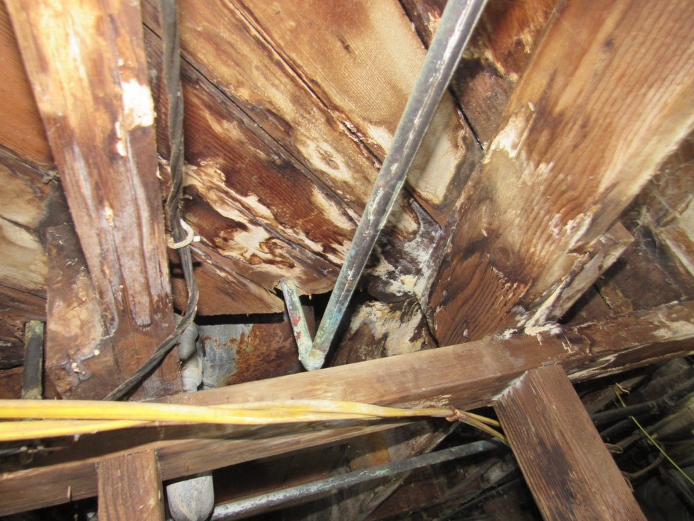 Avidia Home Inspections