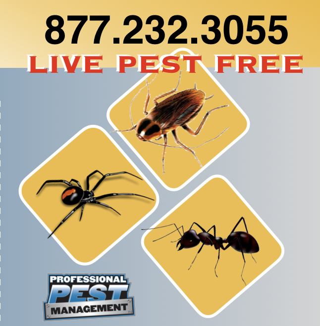 Professional Pest Management