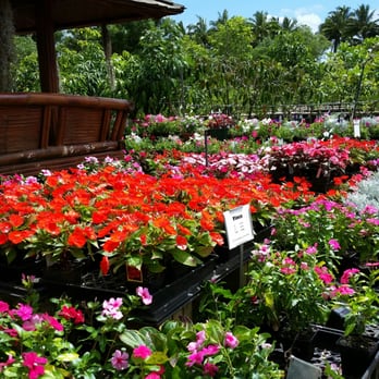 Kauai Nursery Landscaping 14 Photos 16 Reviews Nurseries Photo Of Kauai Nursery Landscaping Lihue Hi United States